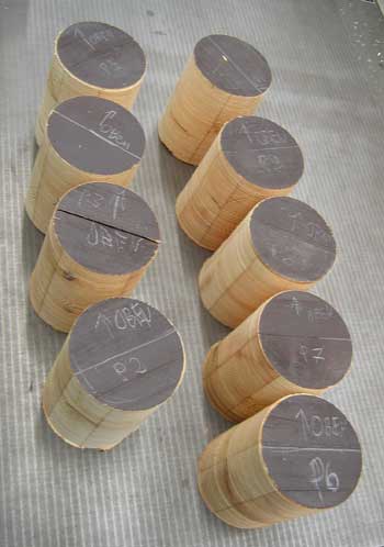 Bohrkerne aus Brettschichtholzbinder