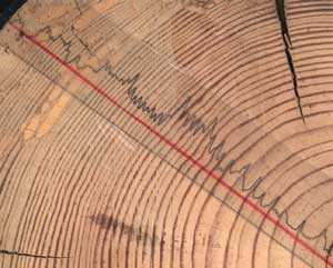 Bohrwiderstandsmessung mit Resistograph